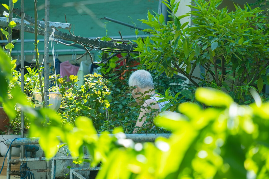 seniors gardening together